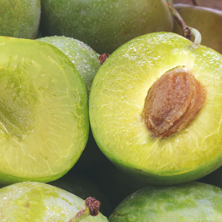 kakadu plum botanical ingredient